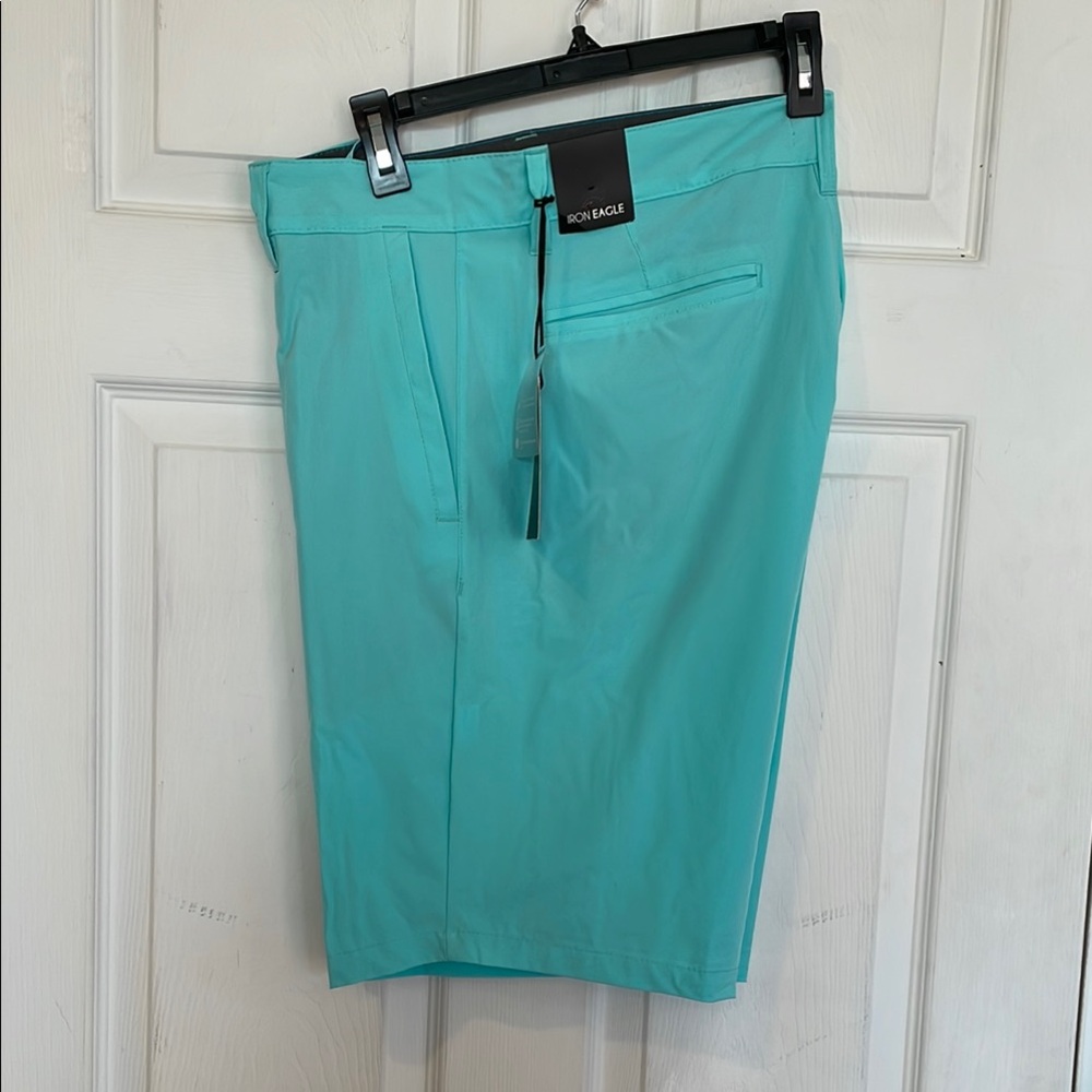 Iron Eagle Turquoise Shorts Size 36